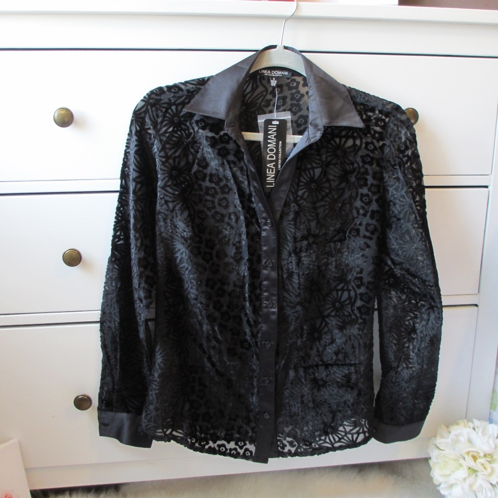 Linea Domani Limited Edition Sheer Blouse Sz 4